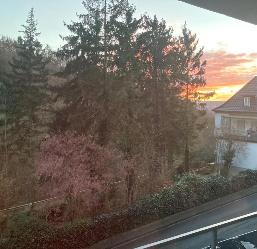 Großzügiges Zimmer mit Waldblick am Rheinsteig Linz am Rhein Exterior foto